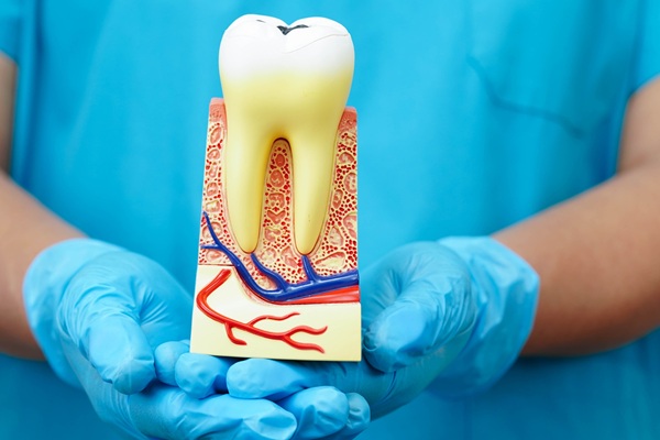 How Long Does It Take To Recover From A Root Canal?